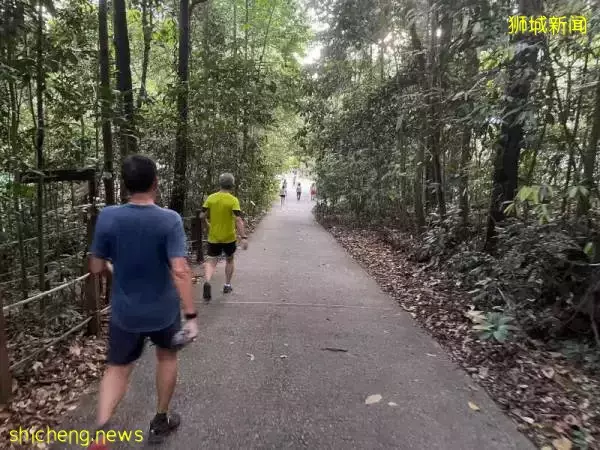 登山客“报复性”回流 公众申诉人满为患 