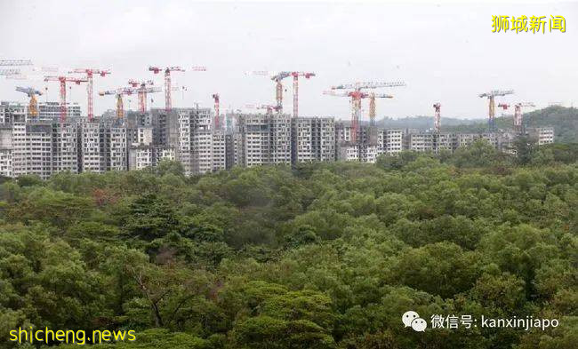 深度解讀新加坡每年PR公民獲批人數變化