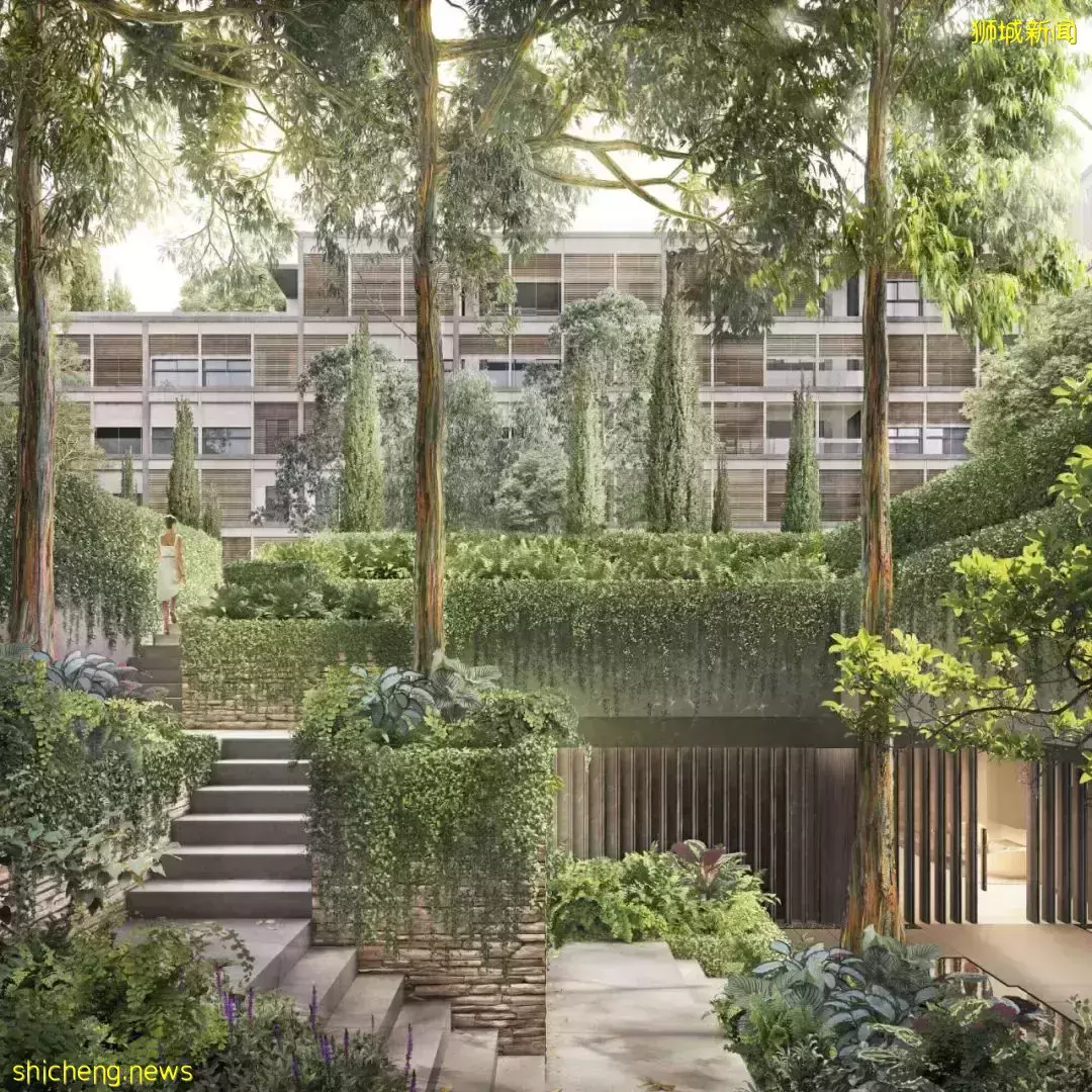 新加坡怪現象：最年輕的人，買走了最貴的房子