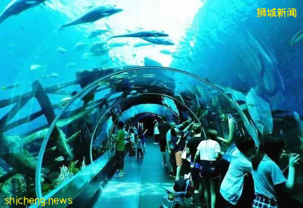 35個最受歡迎新加坡好去處