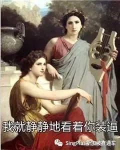 《新加坡高校留学生图鉴》