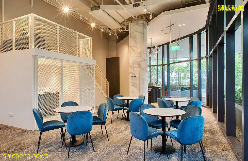 工業園“變身”創新農業園，這個10年戰略藏著新加坡的發展新機遇