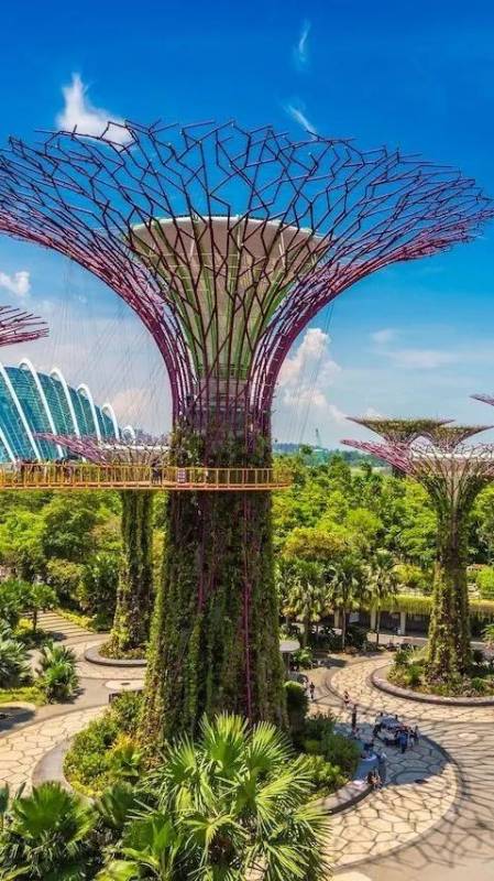 新加坡爲什麽是華人心中的移民首選？我來告訴你