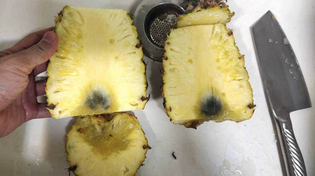 新加坡进口的台湾凤梨被吐槽！“这质量，送人都丢脸~”