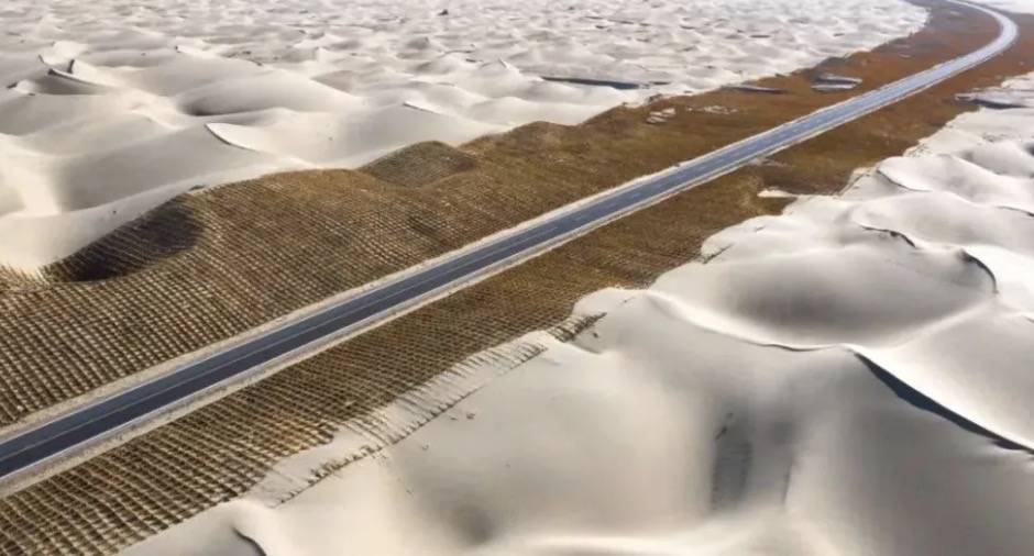 剛剛！新加坡在這方面超過美國和中國，全球第一！美國總統發帖表示不服