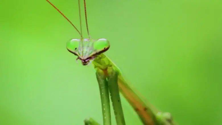 通过剧情,了解你的真实写照