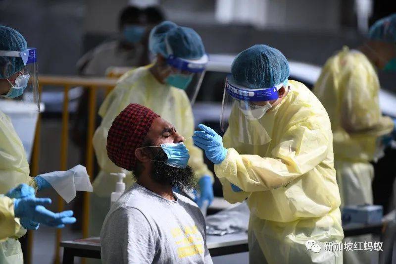 客工宿舍冠病感染率达47% 新加坡如何一步一脚印打赢这场仗