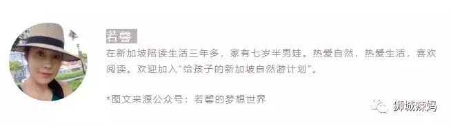 拿著鏟子、放大鏡、昆蟲觀察箱,帶娃去新加坡昆蟲森林冒險