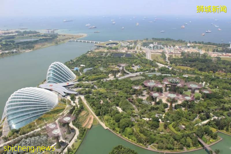 滨海湾花园游览指南