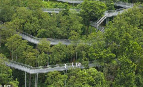 知道新加坡这10条美爆了的户外跑步路线后,跑步真的成为了一种享受