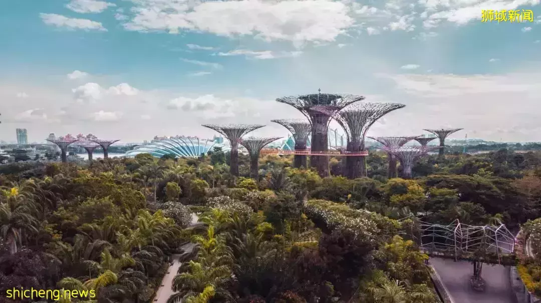 房産新政後新加坡地産遇冷了嗎？聚焦1月最新行業數據和調查結果