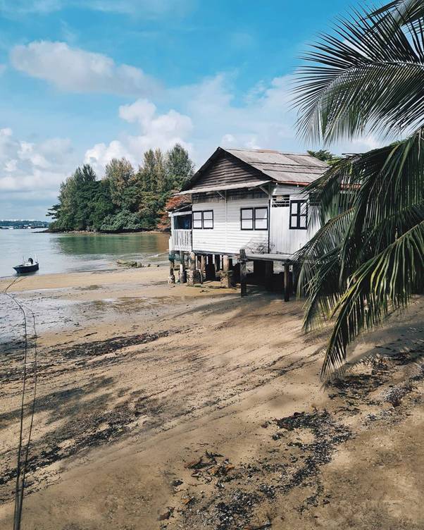 周末宅家太無聊？新加坡的這些熱門露營地你一定得知道