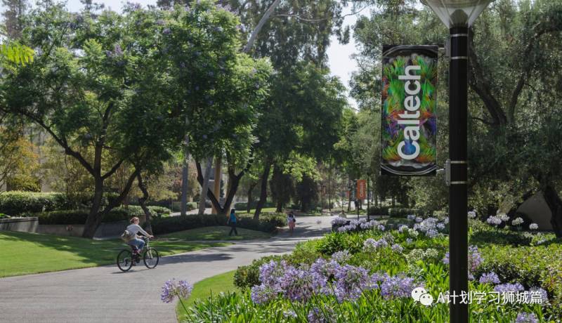 THE2021世界大學學科排名:理學