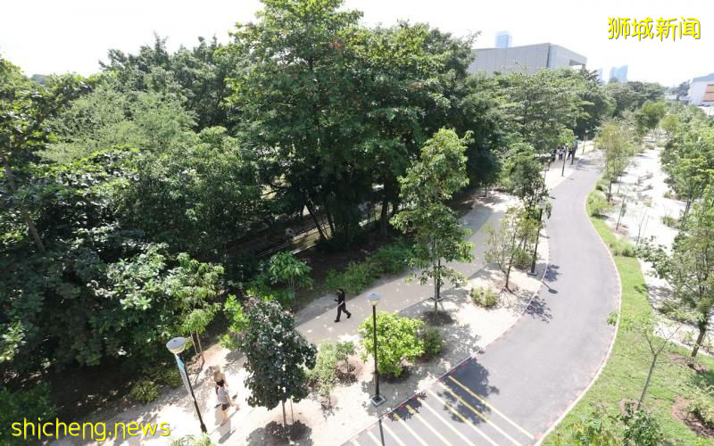 西海岸将建10个自然连道 打造大自然里的城市