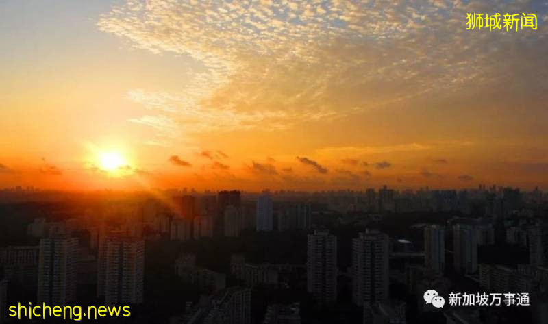 什麽是新加坡？盤點那些你不知道的新加坡知識!