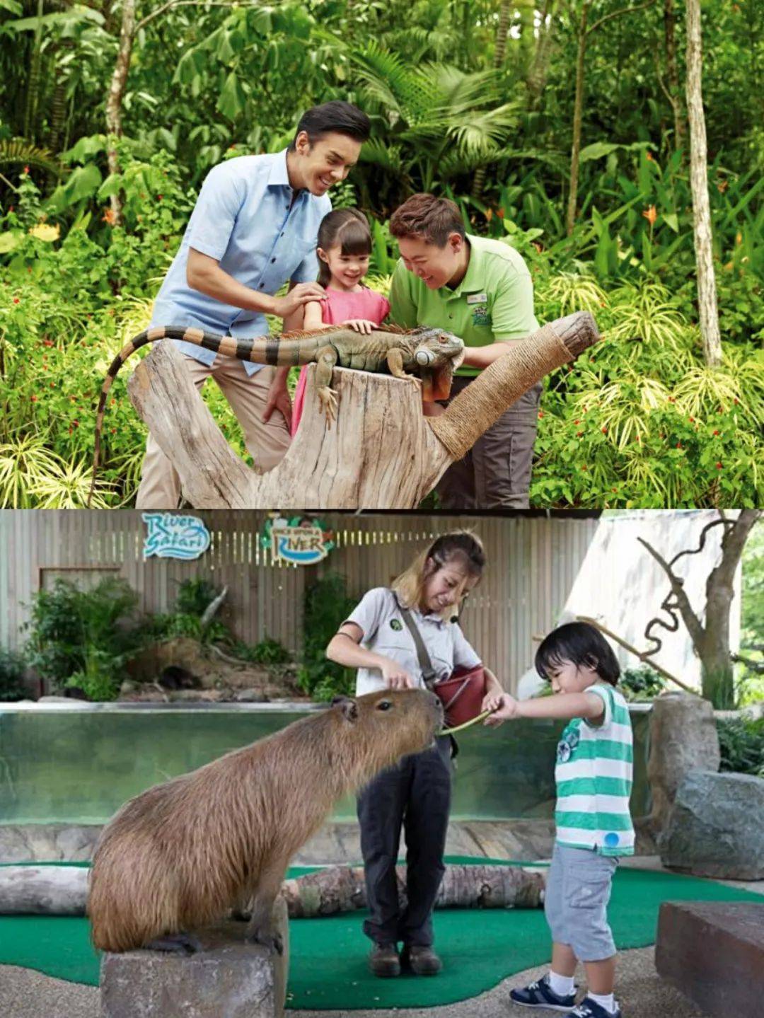 国宝级的客人出席你的新年午宴,有没有猜到是谁来了