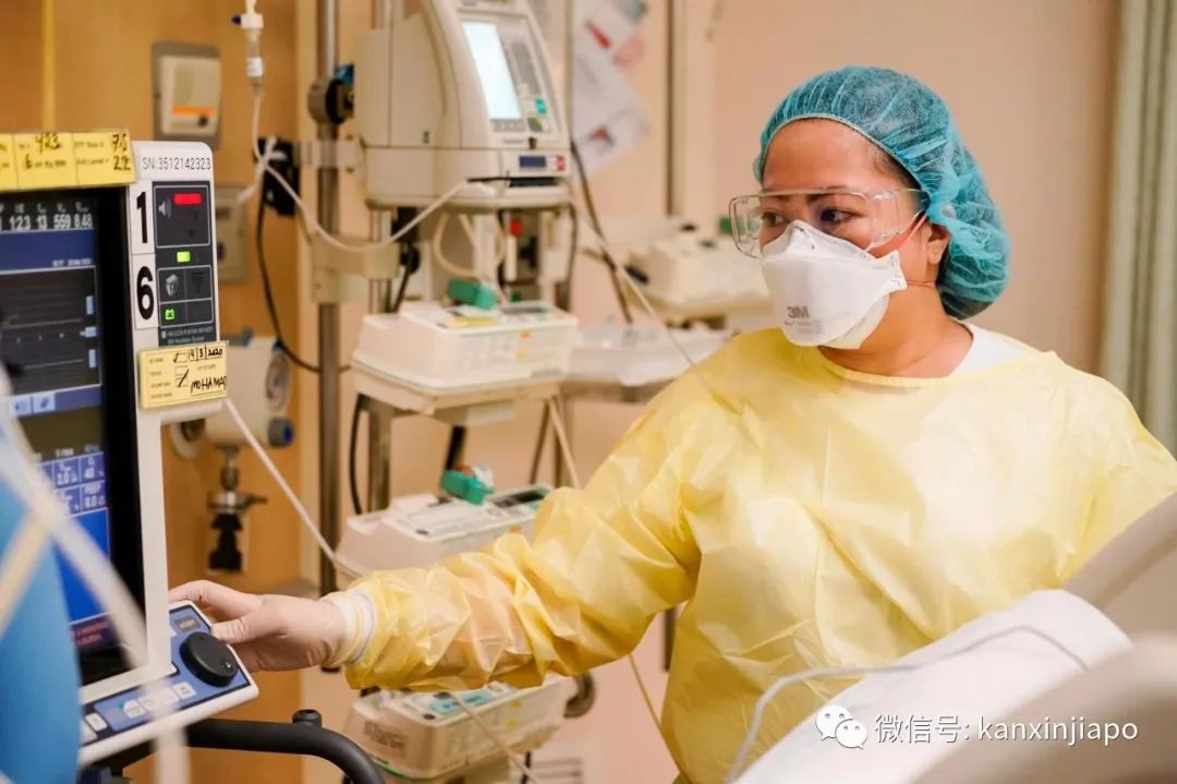 今增X，累计X | 新加坡的冠病死亡率只有0.06%，到底怎么办到的？
