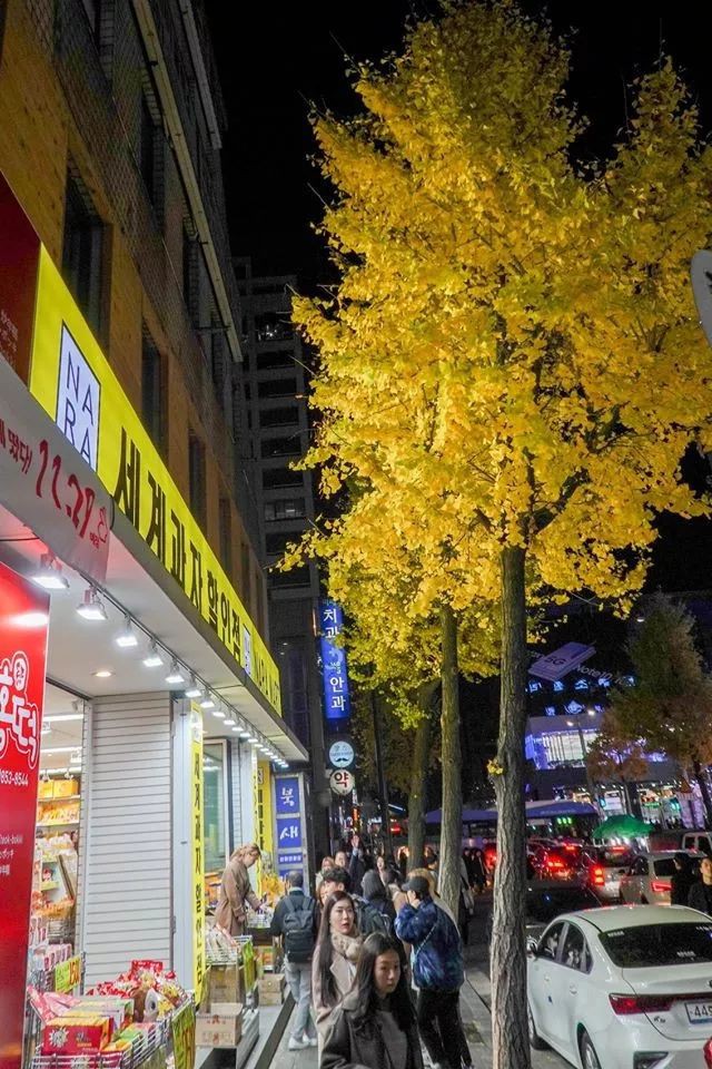 李显龙CP秀恩爱放大招:在韩国搭了个“凯旋门”!