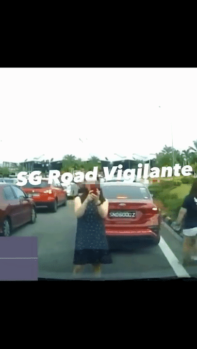 砸車窗、扔車牌、擋著車不讓走！這名女子大鬧新馬關卡