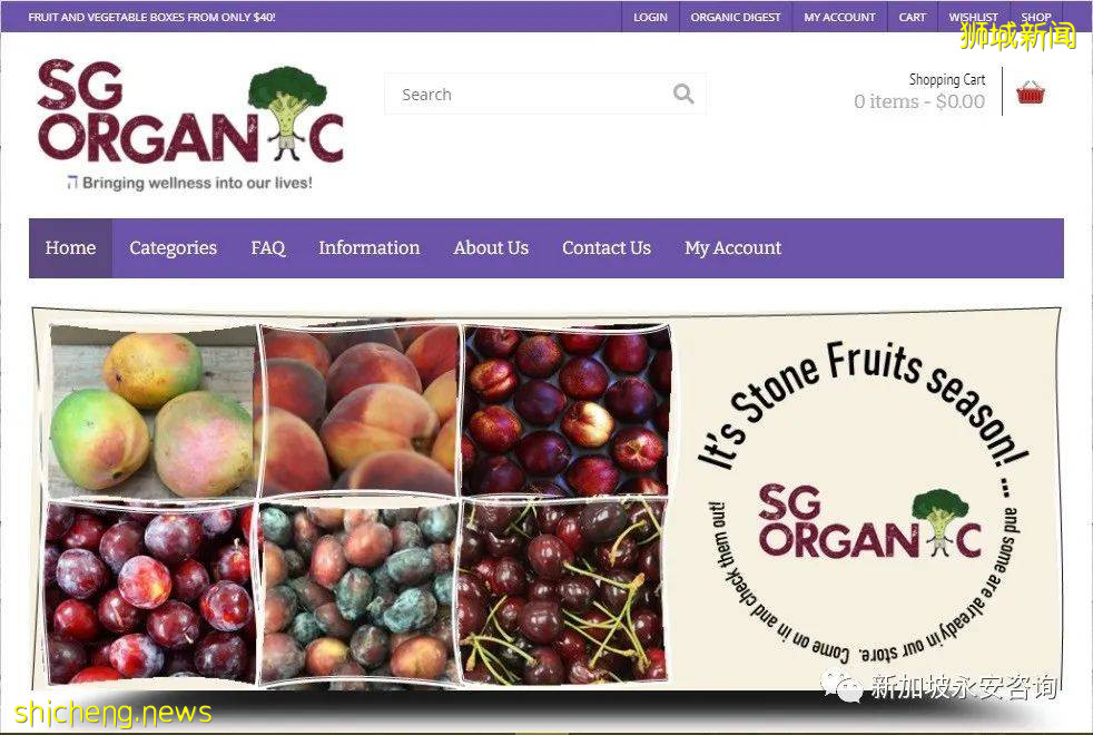 新加坡電商大盤點:“疫”路相伴,百家爭鳴