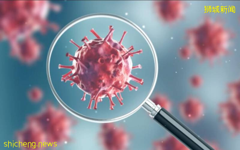 新加坡发现新的Covid19变种,其危害较低不用恐慌