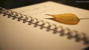 8分鍾瘋砍雇主100刀！印尼女傭在新加坡被判終身坐牢、她不服上訴