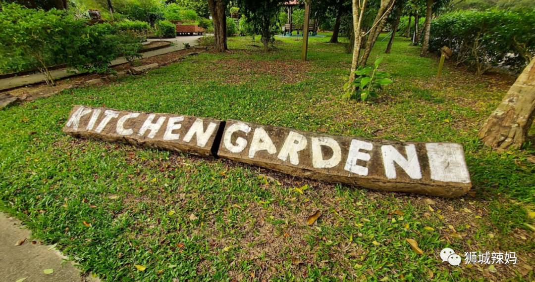 新加坡最好玩的海灘公園!趕海、騎馬、劃艇、樹籬迷宮、燒烤露營,超適合家庭出遊