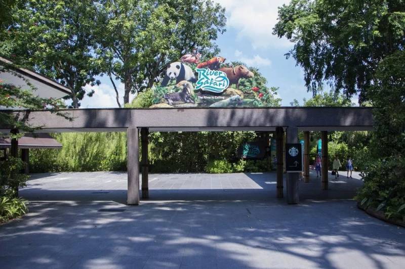 新加坡河川动物园不为人知的一面