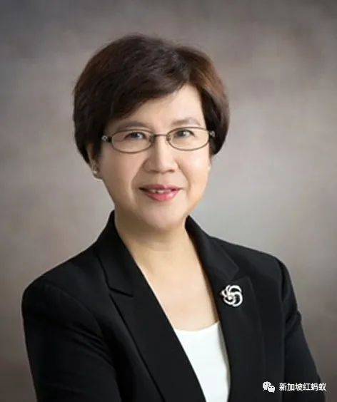 超支172萬新元?非法分租? 最新總審計署報告揭露哪些新加坡政府機構的纰漏