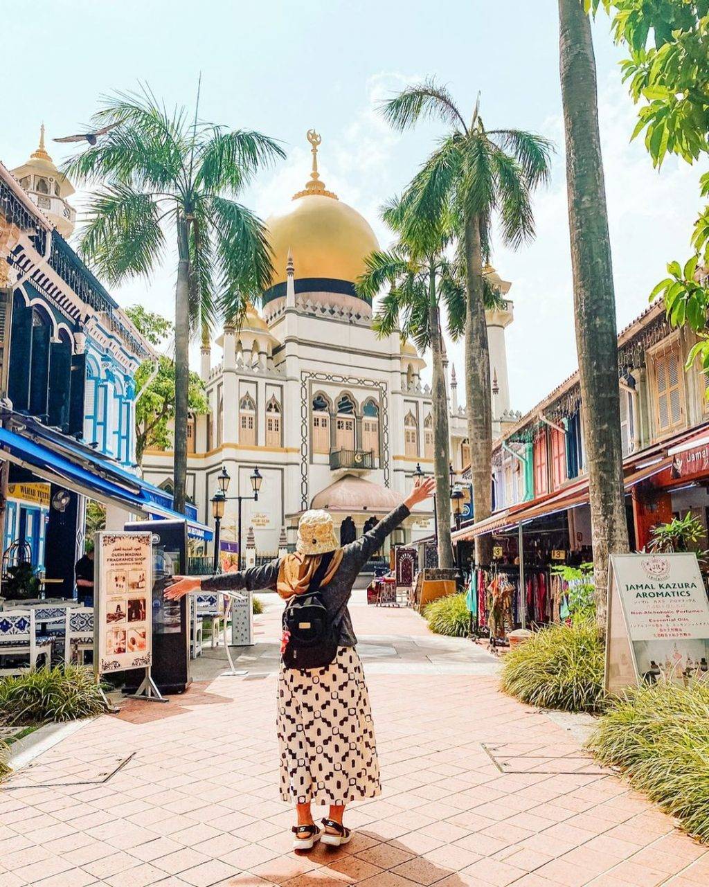 新加坡最美网红树打卡合集🌴壮观古树、根深叶茂,感受大自然的魅力📷