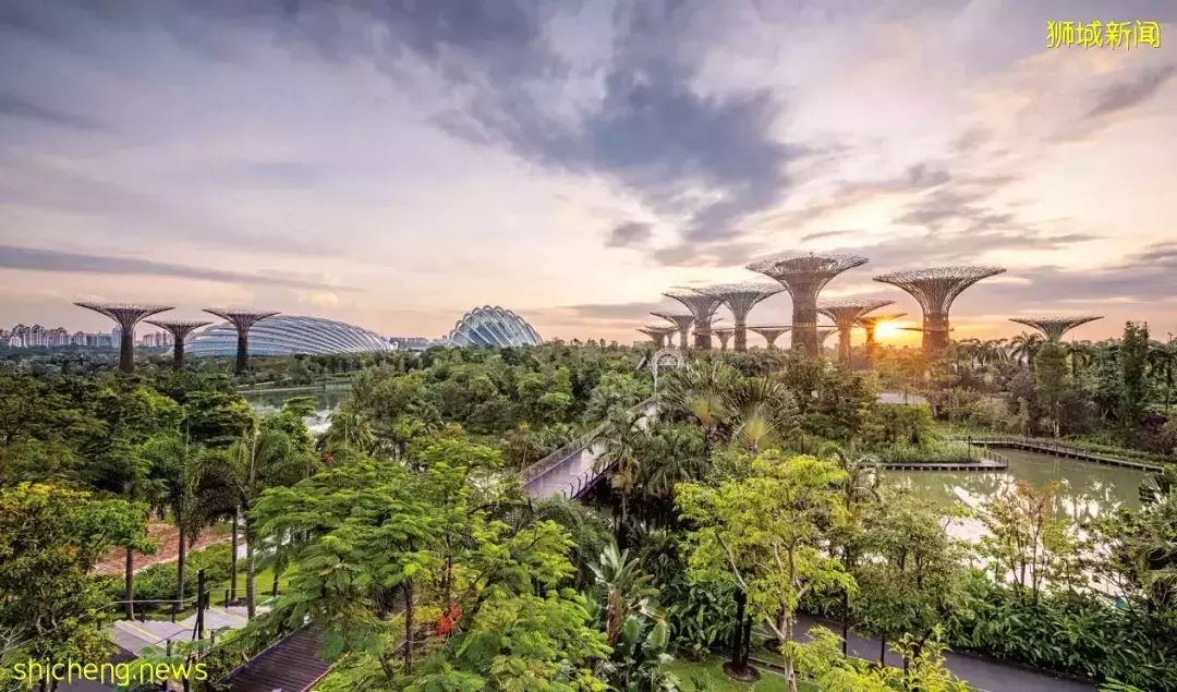 绿色金融专业人才稀缺?新加坡准备在赛道起点发力了