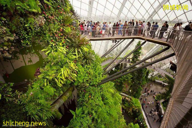 【鸟瞰新加坡】花园城市 5个最美的新加坡公园