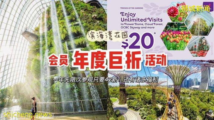 Gardens by the Bay新促销！1年无限制门票仅需42新！6个月工作日门票仅需20新