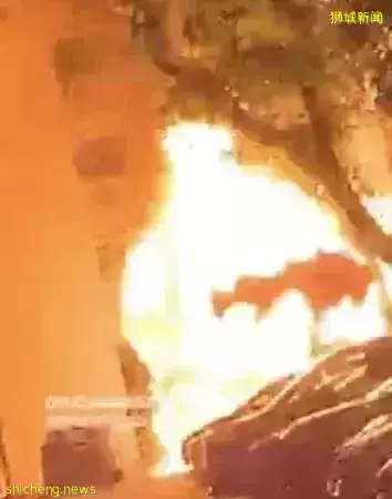 火光冲天、爆炸巨响!新加坡露天停车场突然起火,惊人