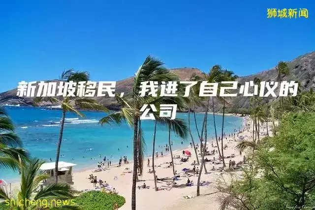 新加坡移民，我进了自己心仪的公司