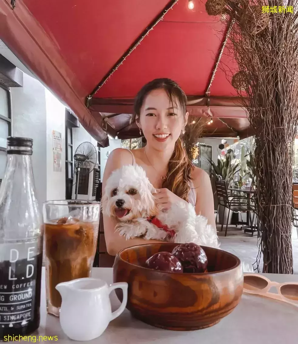 吃喝撸狗兩不誤!新加坡15家寵物友好咖啡廳 · 快上小可愛一起去體驗吧