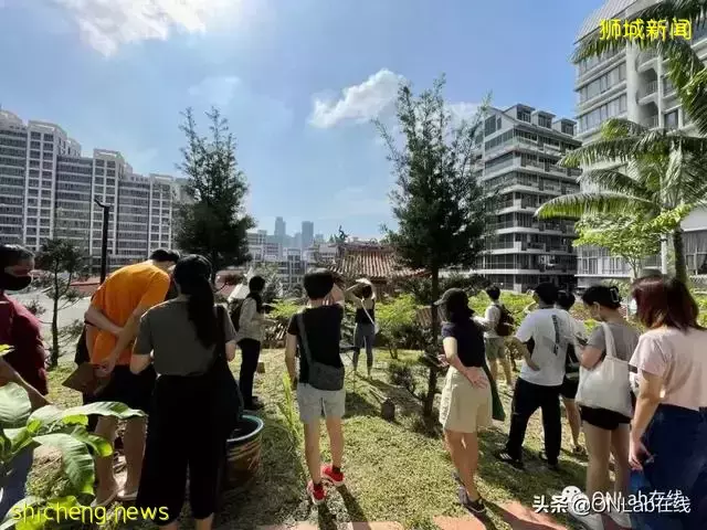 岛城之间:新加坡国立大学华侨建筑与聚落教学