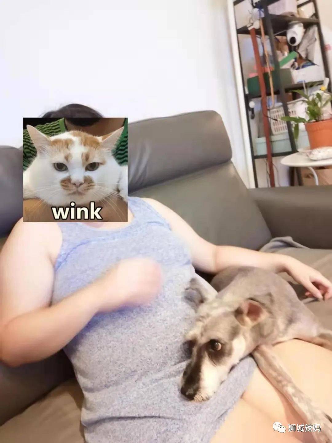 来新加坡13年！7次申请PR被拒！试遍所有“秘诀”，直到