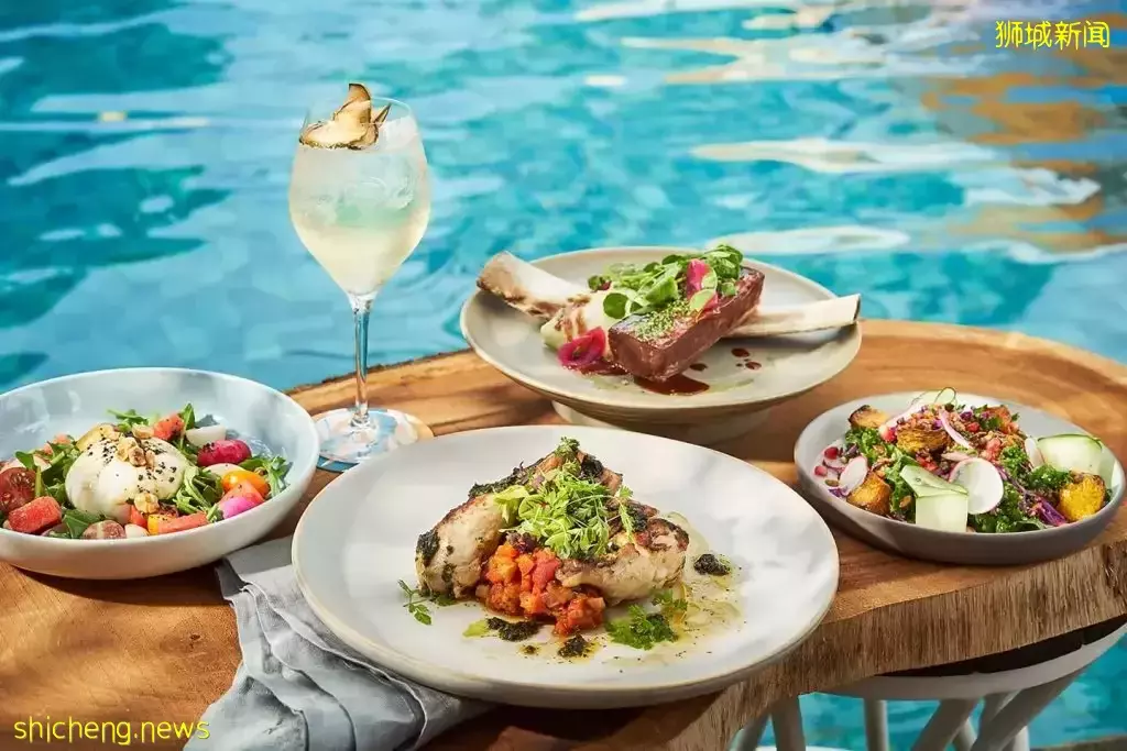 超美水边安静Cafe大盘点!美食美景我全都要