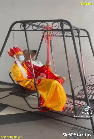 组屋惊现“血腥凶器”,南大来了“唐僧师徒”,莫非有妖怪出没