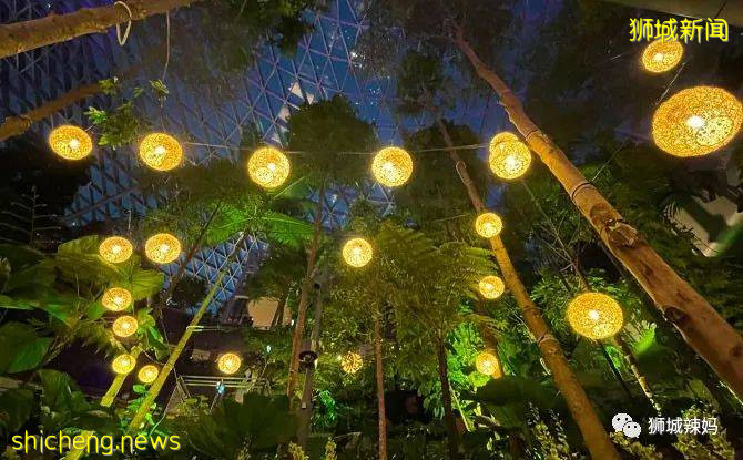 新加坡中秋節活動來襲，遍布全島！比中國還熱鬧