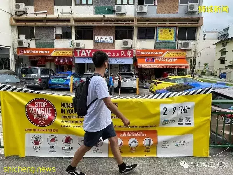 抗疫之余还得抗伊蚊　新加坡骨痛热症病例上半年暴增今年料恶化