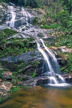 饭都不做的新加坡人靠什么“续命”?揭开真相后,羡慕了