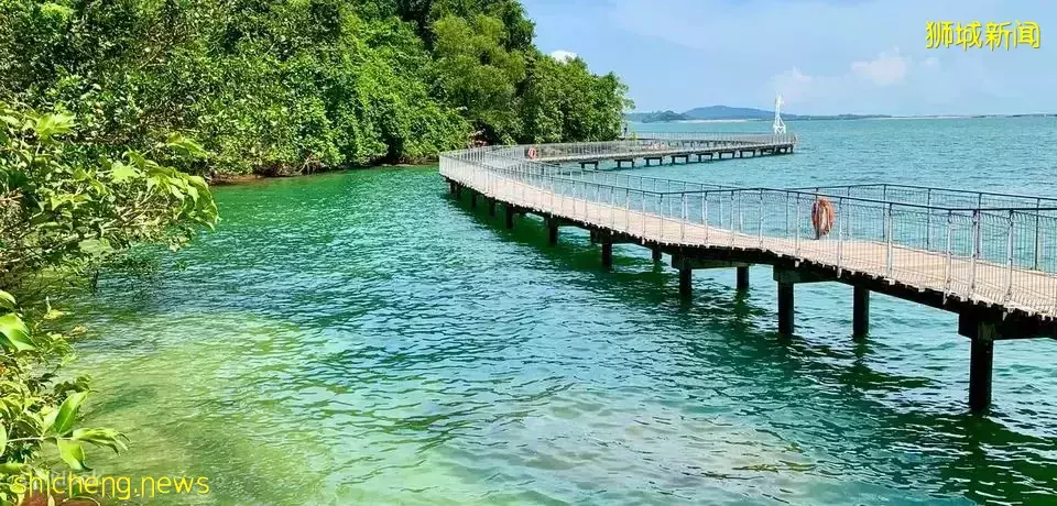 榴梿、野豬、猴子、各種魚蟹……體驗“新加坡最後的農村”