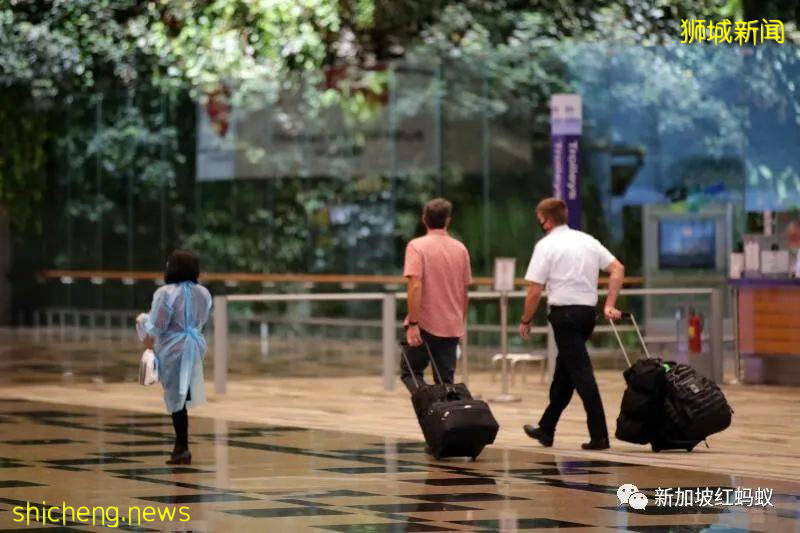 因疫情停飞在澳洲沙漠“休养”了一年多 新航A380终于回家啦