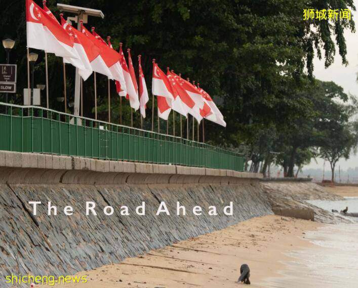 萌翻了！新加坡小水獺“揮國旗”走紅！小姐姐“另類”國慶服C位出道