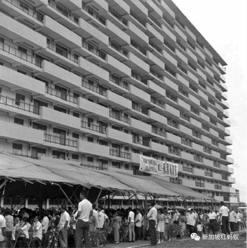 新加坡人镜头下“家的形状”是什么? 答案就在2500多张照片里