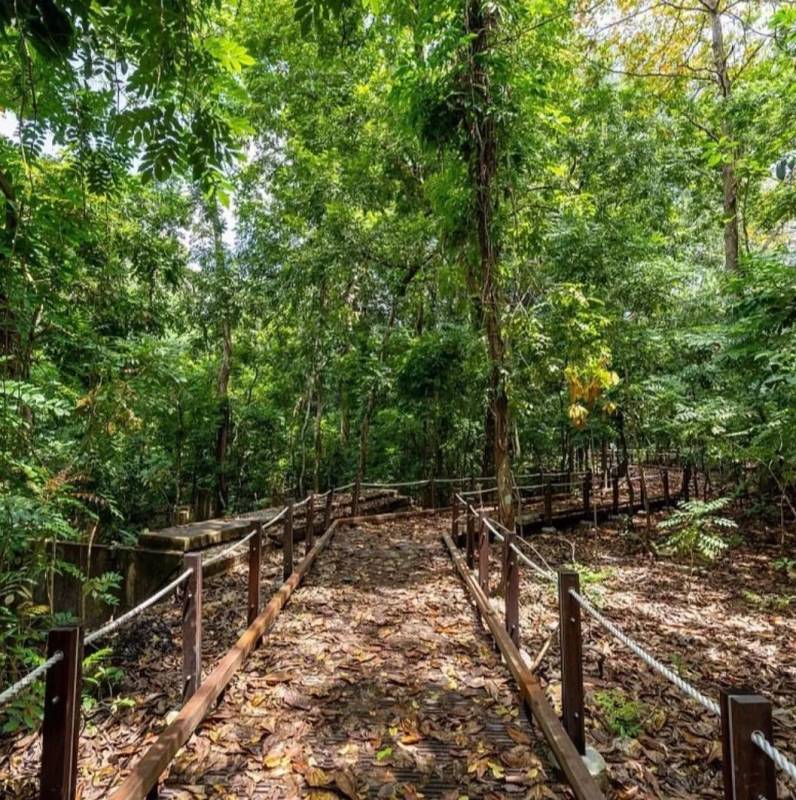 新加坡的中心地带，曾经有个“中国村”