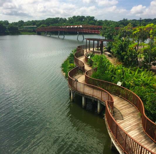 知道新加坡这10条美爆了的户外跑步路线后,跑步真的成为了一种享受