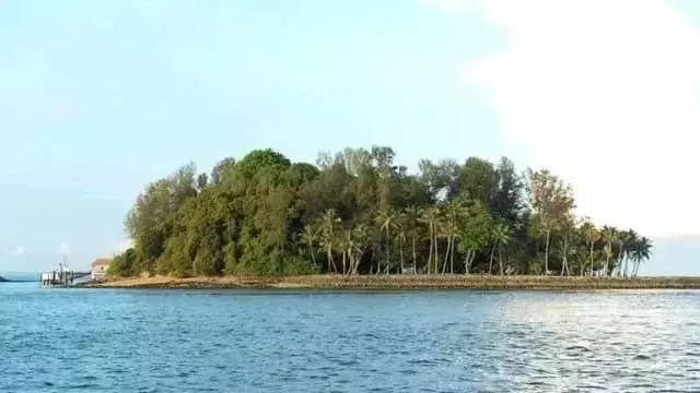 刺激！新加坡最酷的海上运动，1小时乘海军飞艇游5个岛，感觉爽飞了